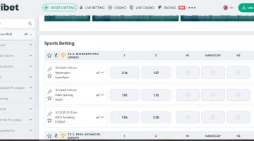 Ставки на кіберспорт в Івібет