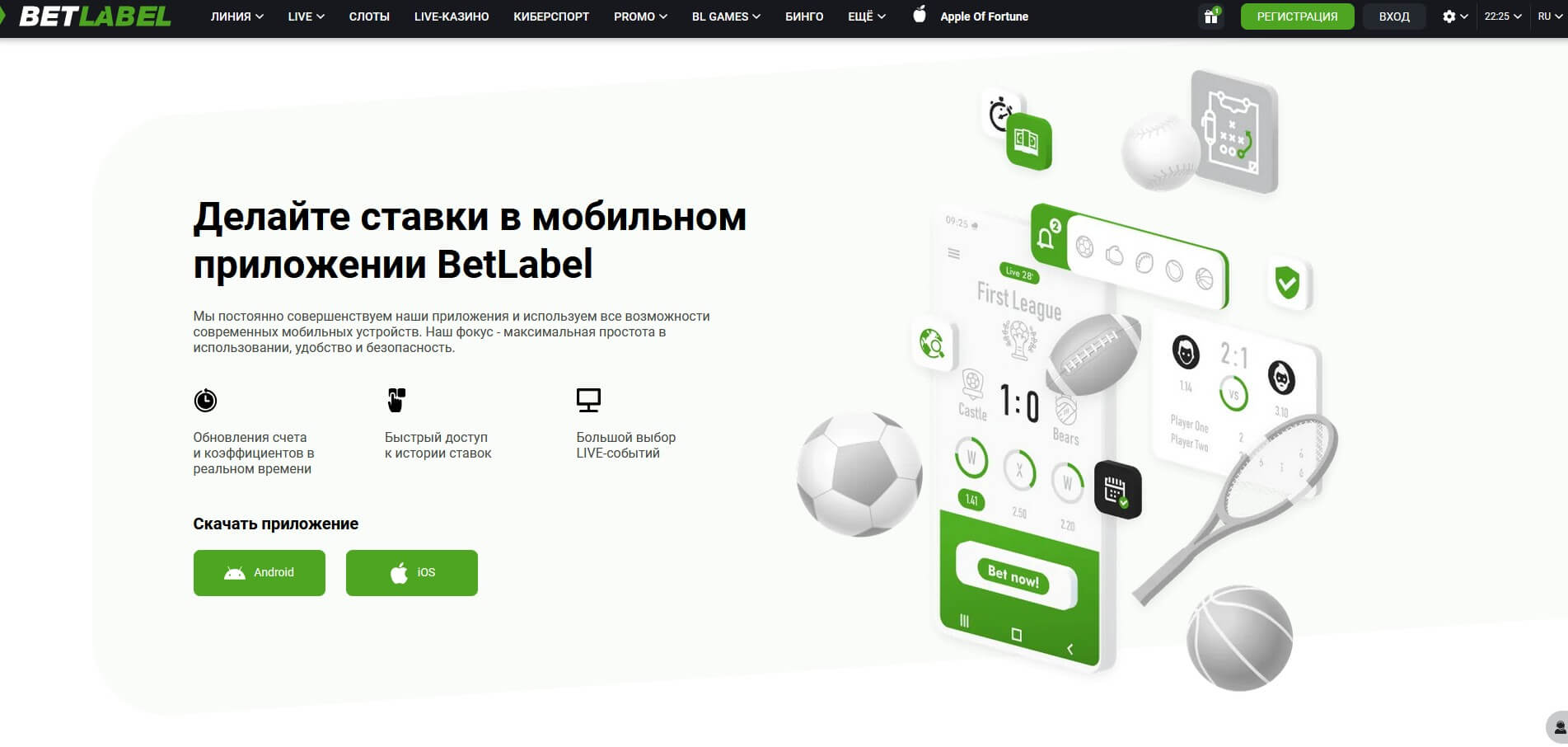 Приложение Бетлейбл